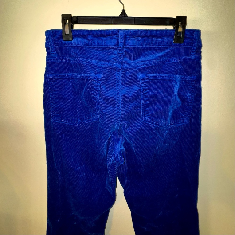 Pilcro Royal Blue Corduroy Straight Leg Jeans - Picture 7 of 10